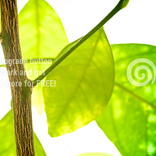 STEM Theatricals avatar photo