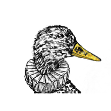 The Gray Mallard Theater Co. avatar photo