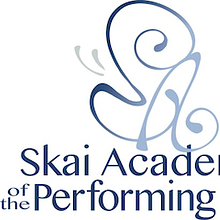 Skai Academy: Community Stages Project avatar photo