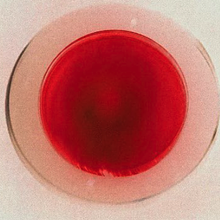 Mariner Theatrical avatar photo