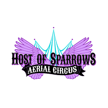 MetaMORPHOsis: Lifecycle of the Blue Morpho Butterfly avatar photo