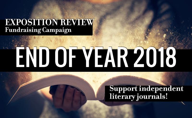 Exposition Review: End-of-Year 2018 Campaign cover photo