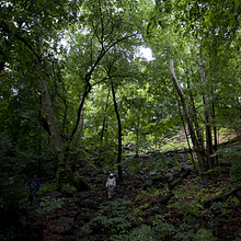 Parks and People avatar photo