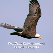 New Tune Entertainment, LLC avatar photo