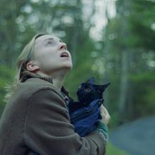 After - Short Film avatar photo