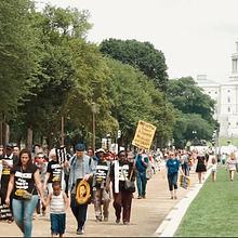 What's Next, A Documentary Film About A Moral Movement avatar photo