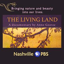 The Living Land avatar photo