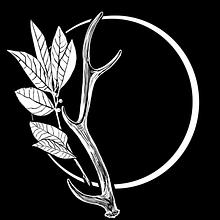 The Daughters Collective avatar photo