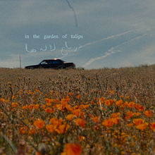 In the Garden of Tulips- Short Film avatar photo