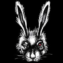 Clifton Park avatar photo