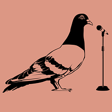 The Philly Pigeon avatar photo