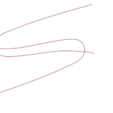 Soft Animal Film Productions avatar photo