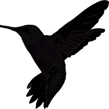 Tilth's development and startup mission avatar photo