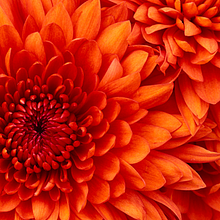 "The Test" Documentary avatar photo