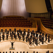 Ann Carlson's Work Fund avatar photo