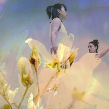 dropshift dance avatar photo