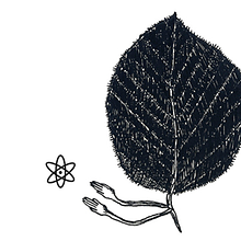 Wisdom Arts Laboratory avatar photo