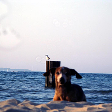 Happenstance avatar photo