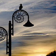 Crystal Image Performing Arts Company avatar photo