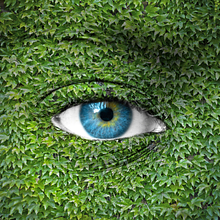 Ivy Theatre avatar photo