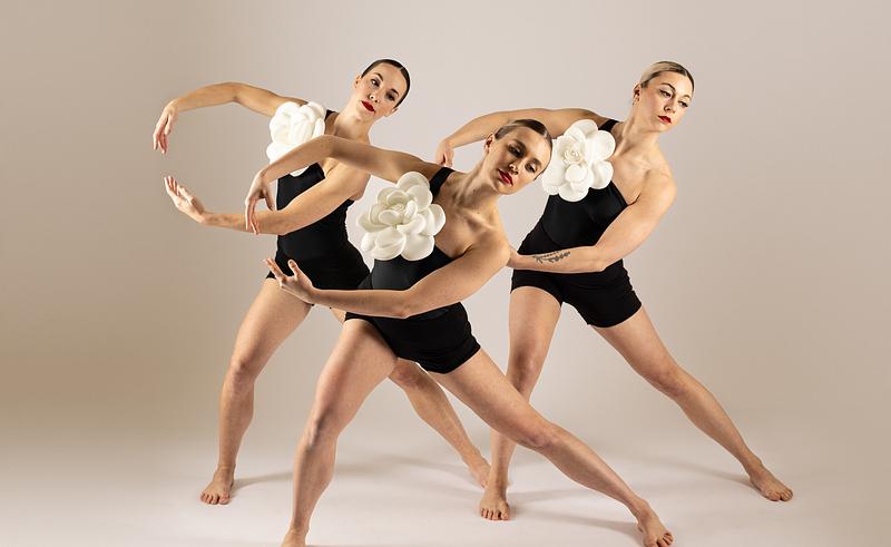 Inertia | Movement Come to Life cover photo