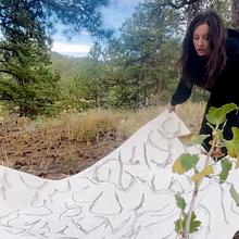 R.Kice Studio Fieldwork Fund avatar photo