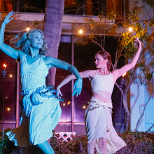 The HERA Odyssey avatar photo